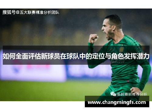 如何全面评估新球员在球队中的定位与角色发挥潜力