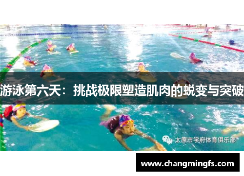 游泳第六天：挑战极限塑造肌肉的蜕变与突破