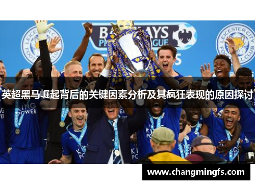 英超黑马崛起背后的关键因素分析及其疯狂表现的原因探讨 英超黑马崛起背后的关键因素分析及其疯狂表现的原因探讨